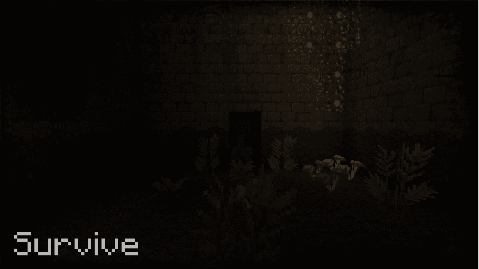 Image 4 of 4 for Trip to Mamaru