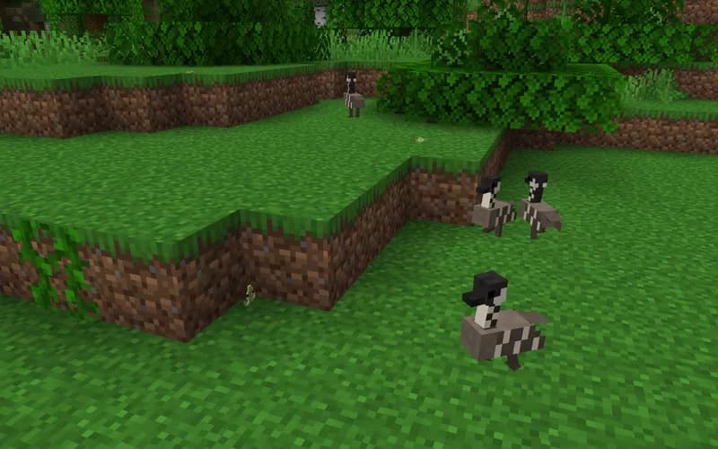 The logo for Hawaii Mobs, a Minecraft datapack for 1.20.1-1.20.4 by OpenVoxel Studios on MCCreations