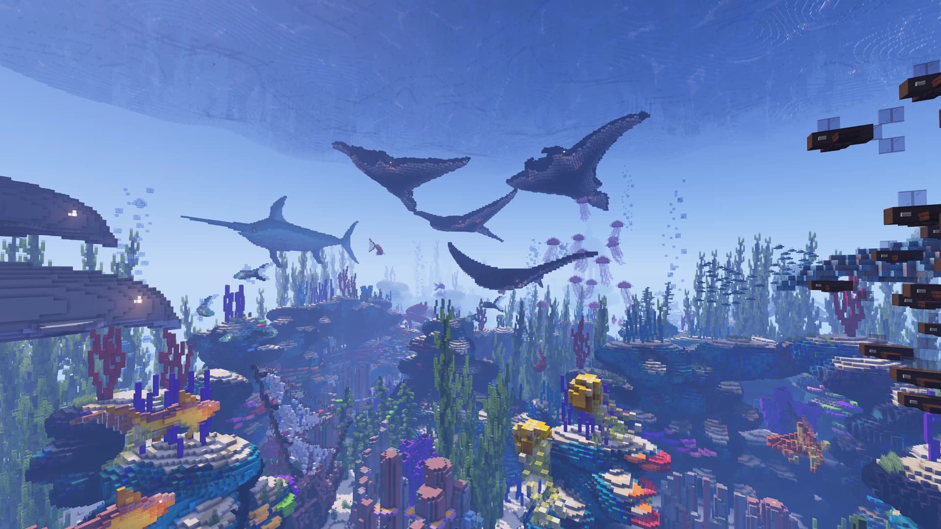 Image 3 of 12 for Reef Race