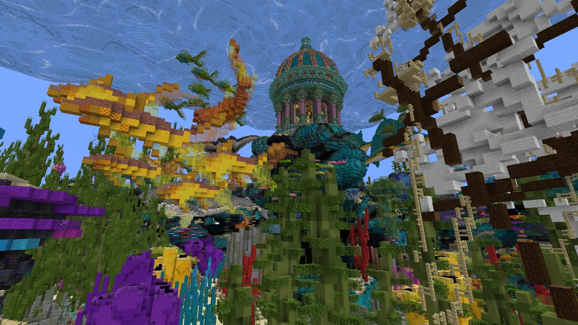 Image 4 of 12 for Reef Race