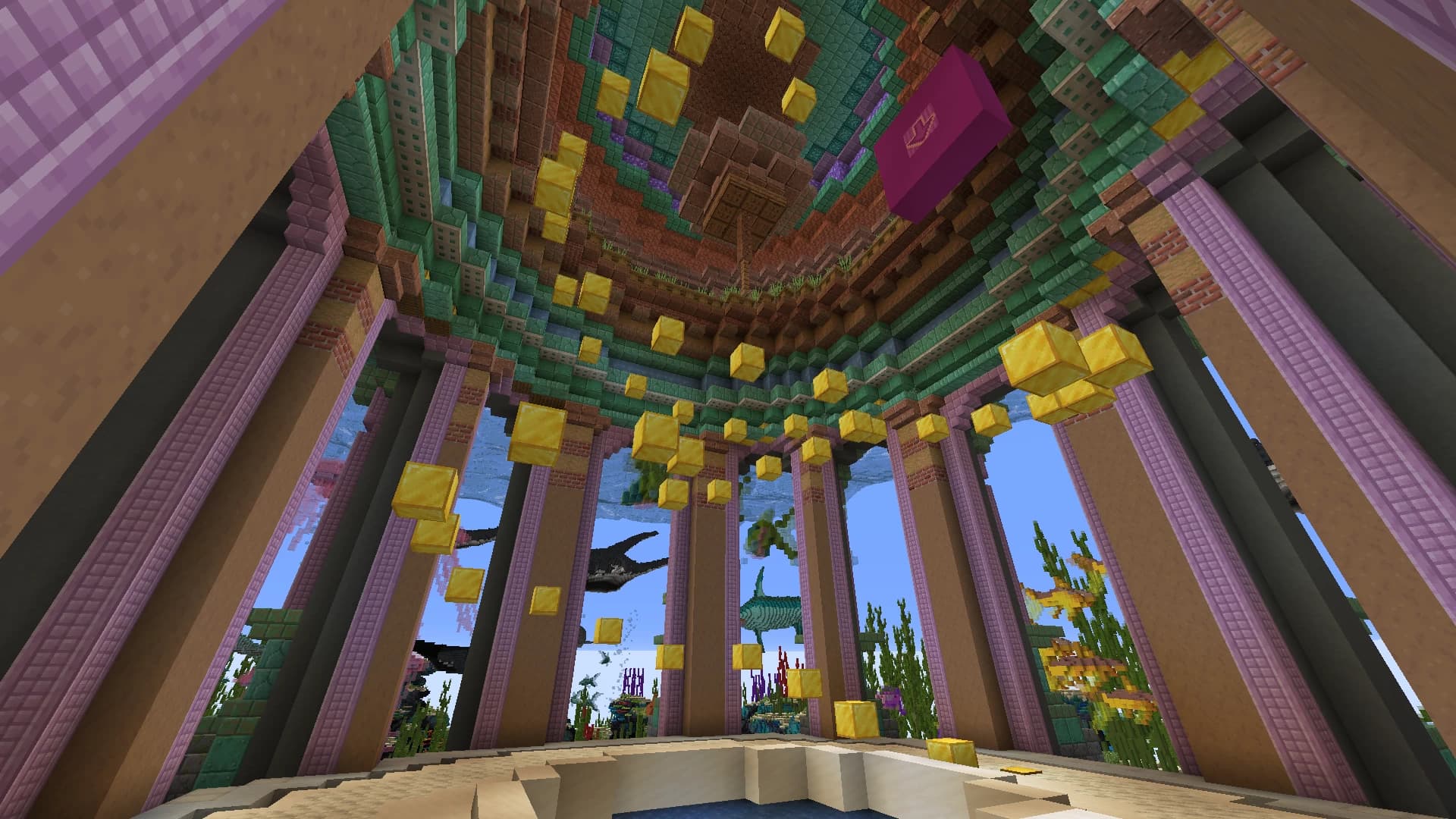 Image 7 of 12 for Reef Race