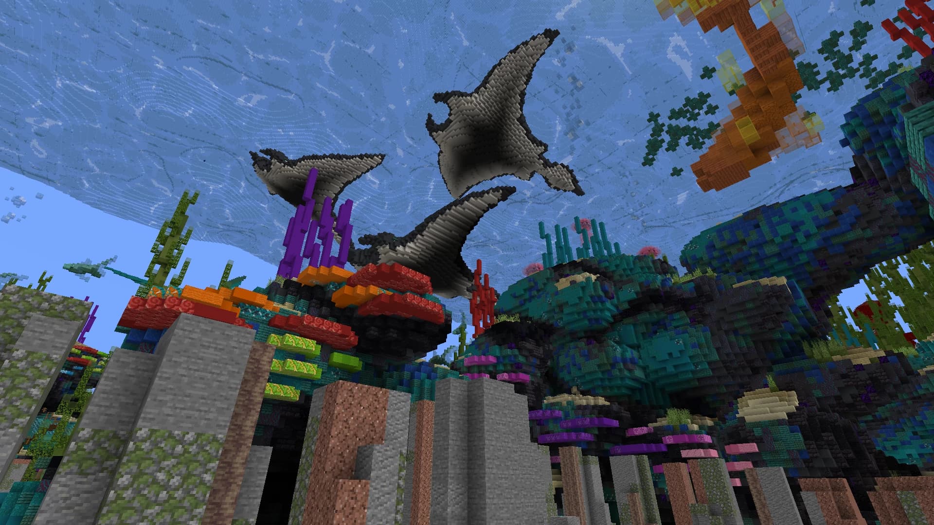 Image 9 of 12 for Reef Race